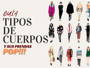 Guia tipos de cuerpos